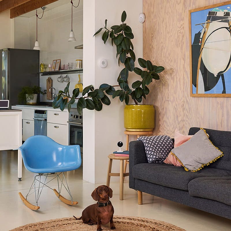 Sistema di sicurezza smart per la casa Yale